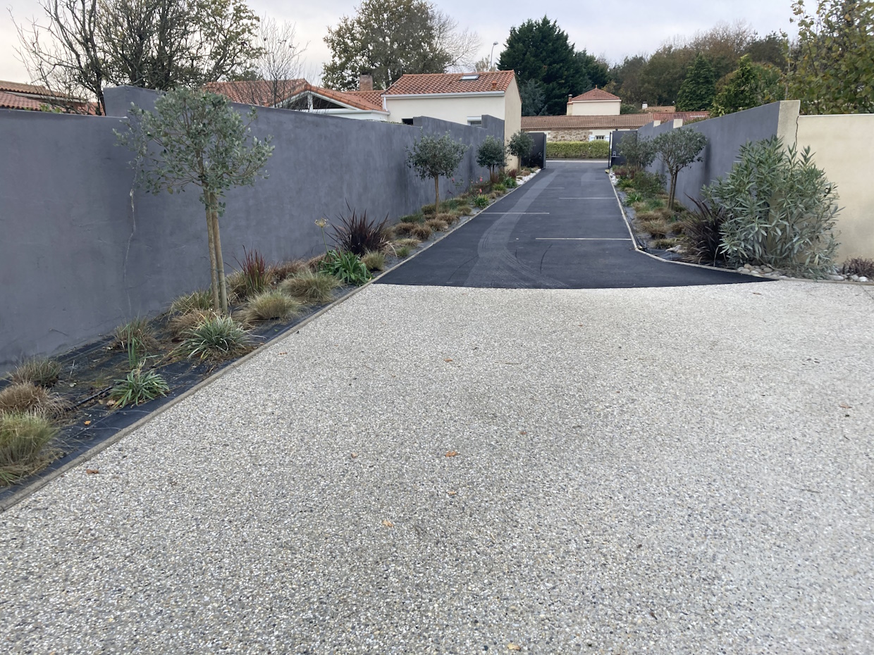 Allée moderne de jardin avec gravier et plantes.
