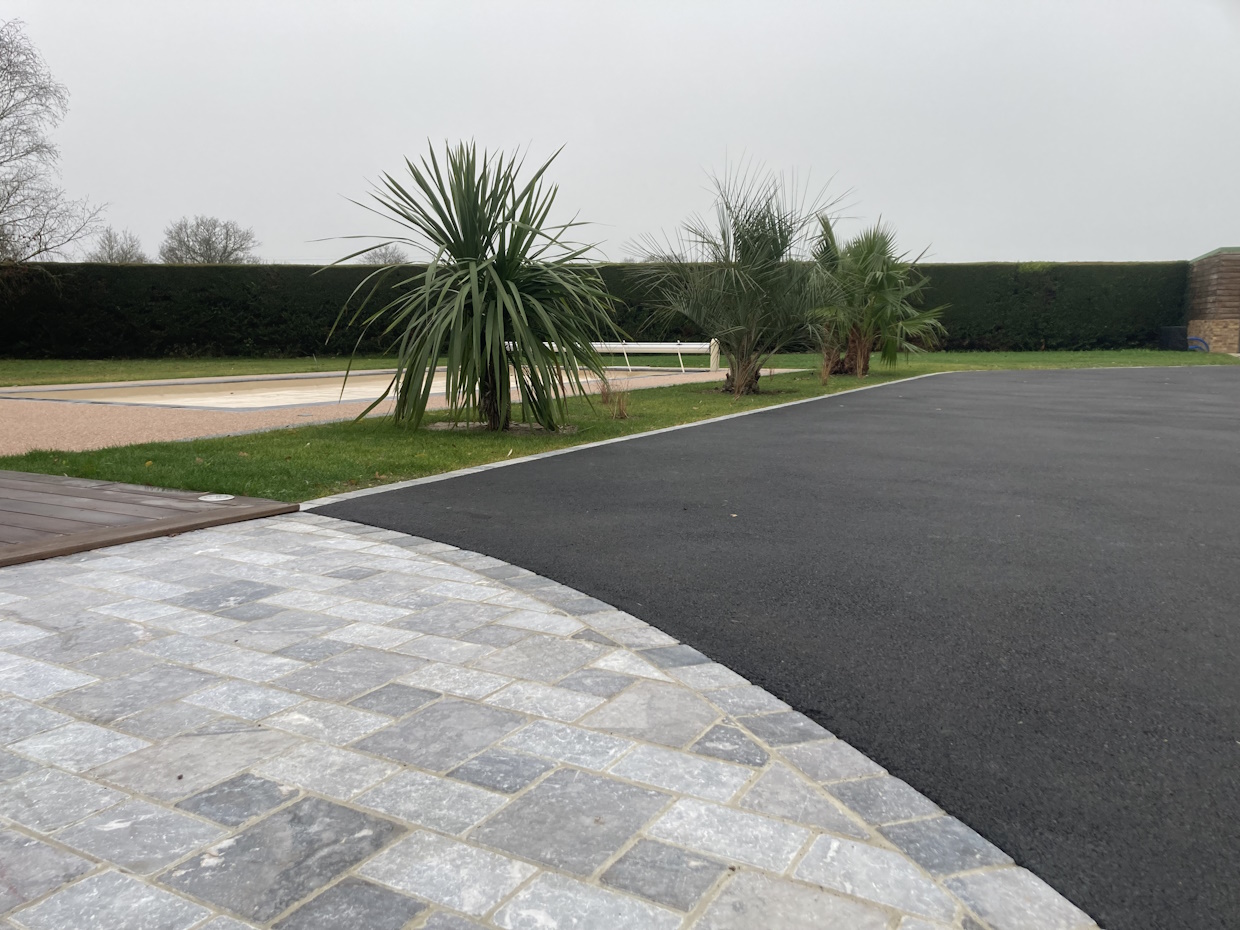 Jardin avec palmiers et allée pavée.